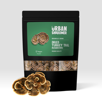 Dried Turkey Tail Mushrooms