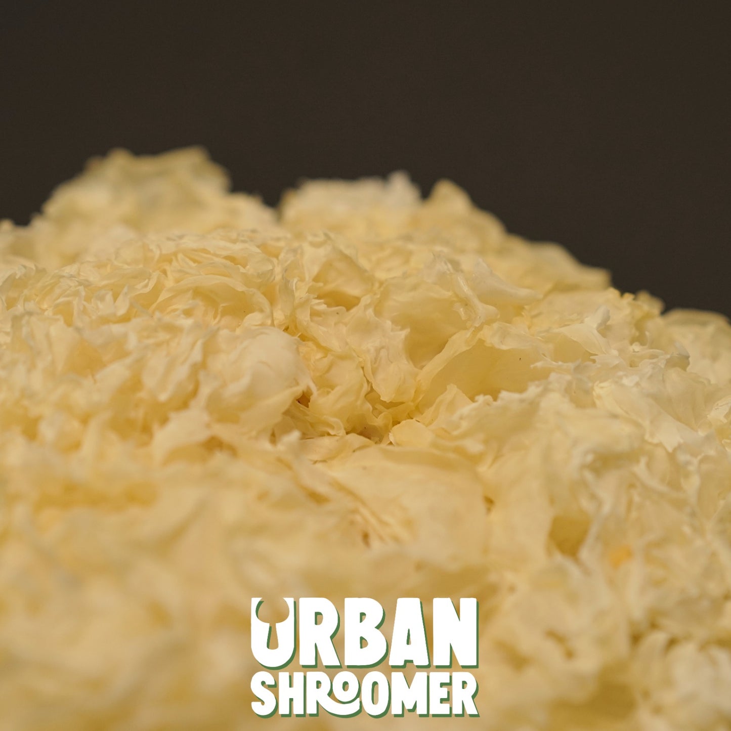Dried Tremella Mushrooms